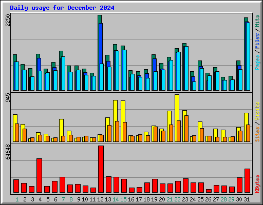 Daily usage for December 2024