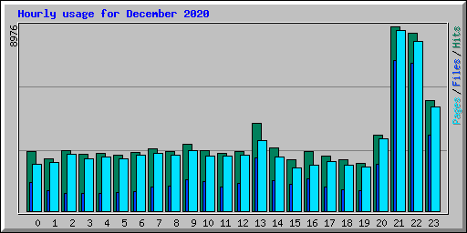 Hourly usage for December 2020
