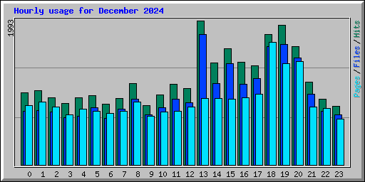 Hourly usage for December 2024