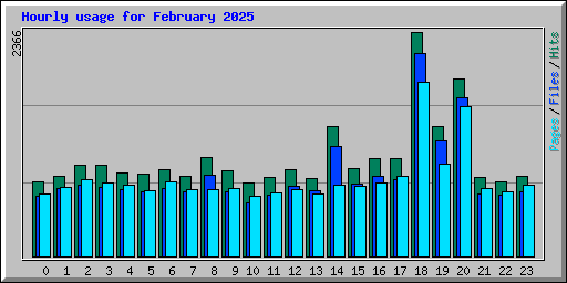 Hourly usage for February 2025