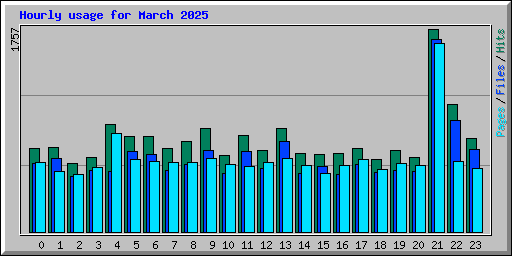 Hourly usage for March 2025