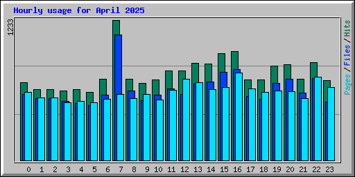 Hourly usage for April 2025