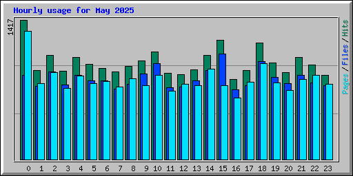 Hourly usage for May 2025