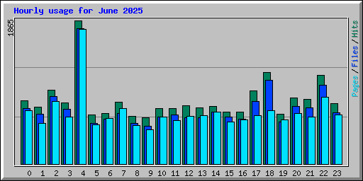 Hourly usage for June 2025