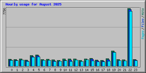 Hourly usage for August 2025