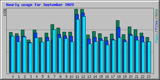 Hourly usage for September 2025