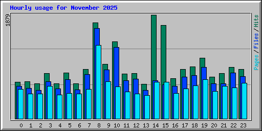 Hourly usage for November 2025