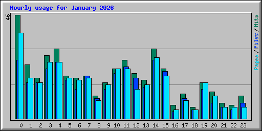Hourly usage for January 2026